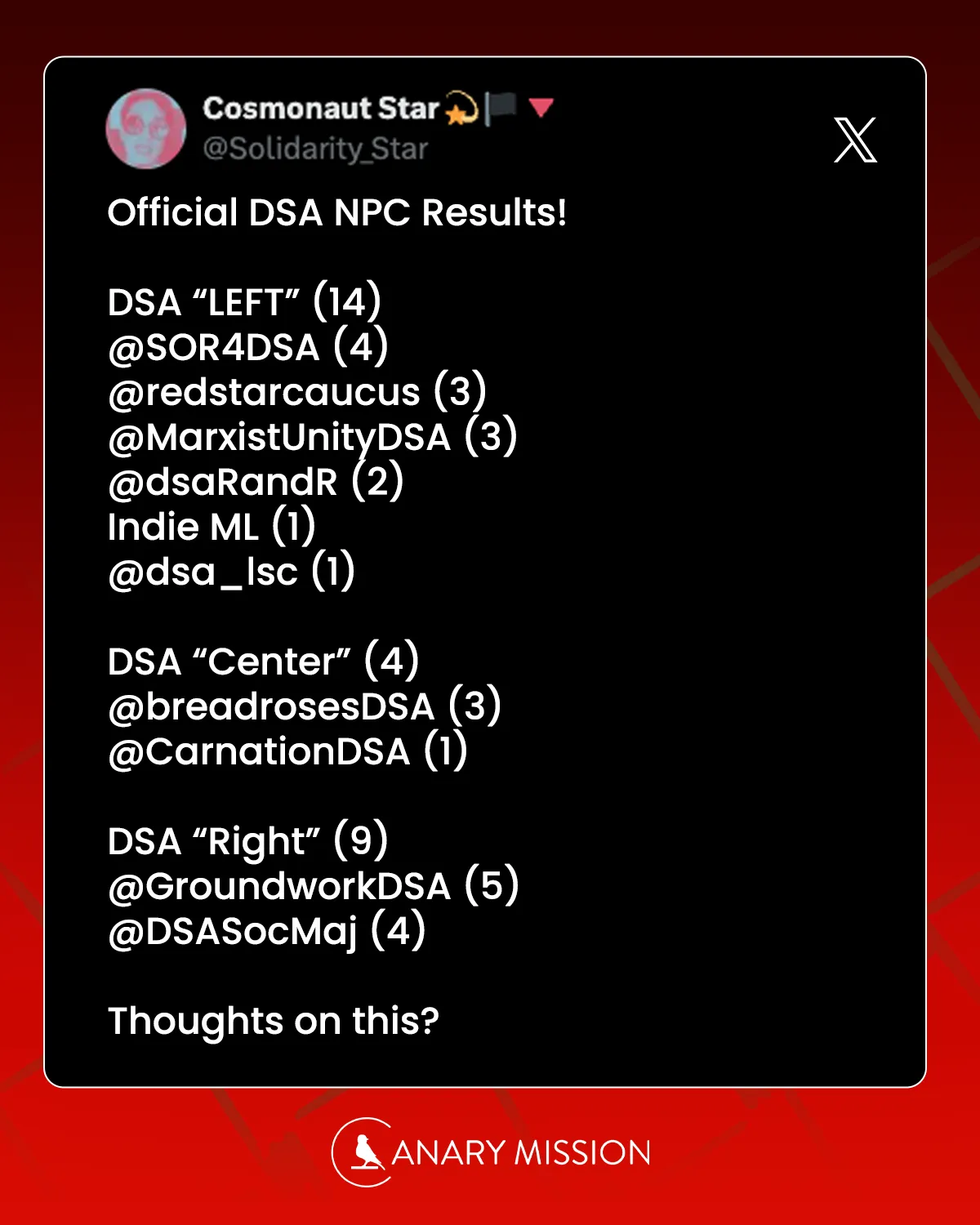 DSA Convention 2025 National Political Committee Election Results